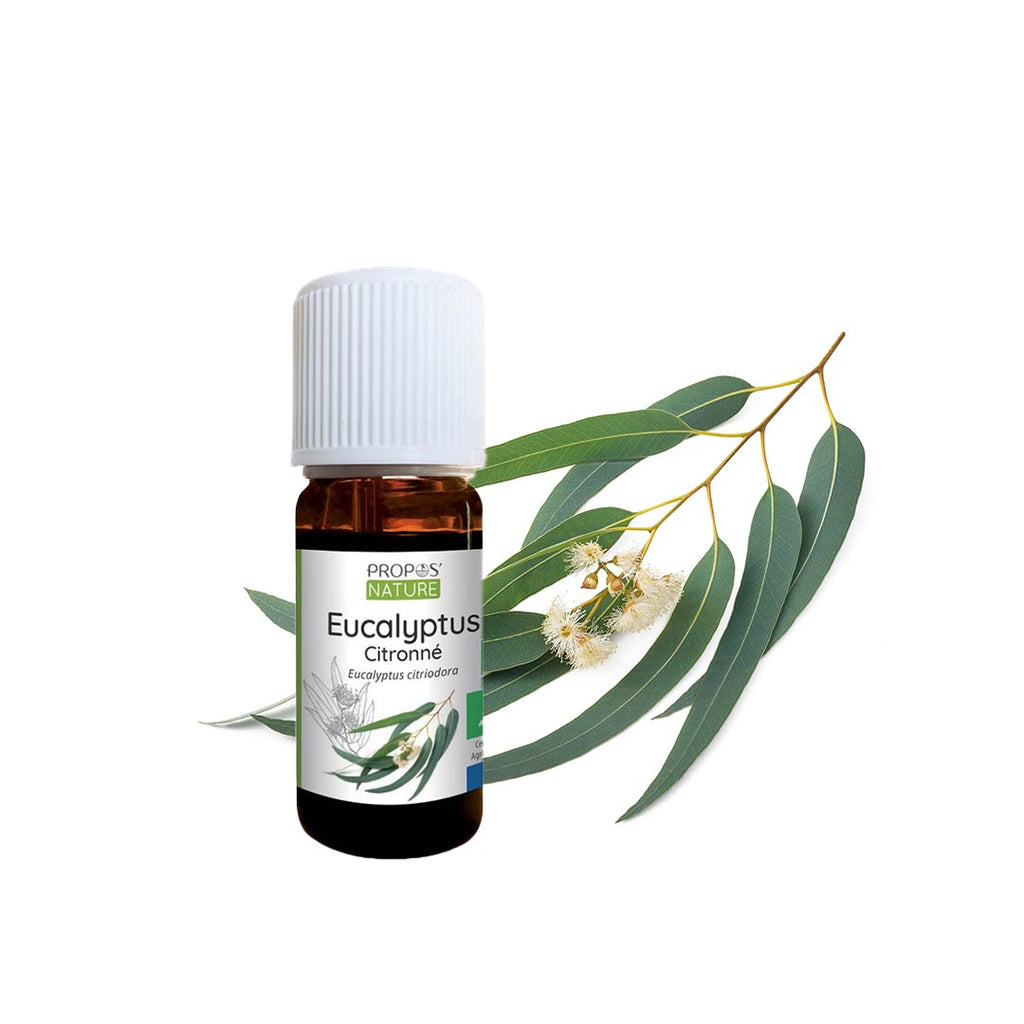A bottle of Eucalyptus lemon essential oil from Propos Nature on white background with a branch of eucalyptus lemon in the background