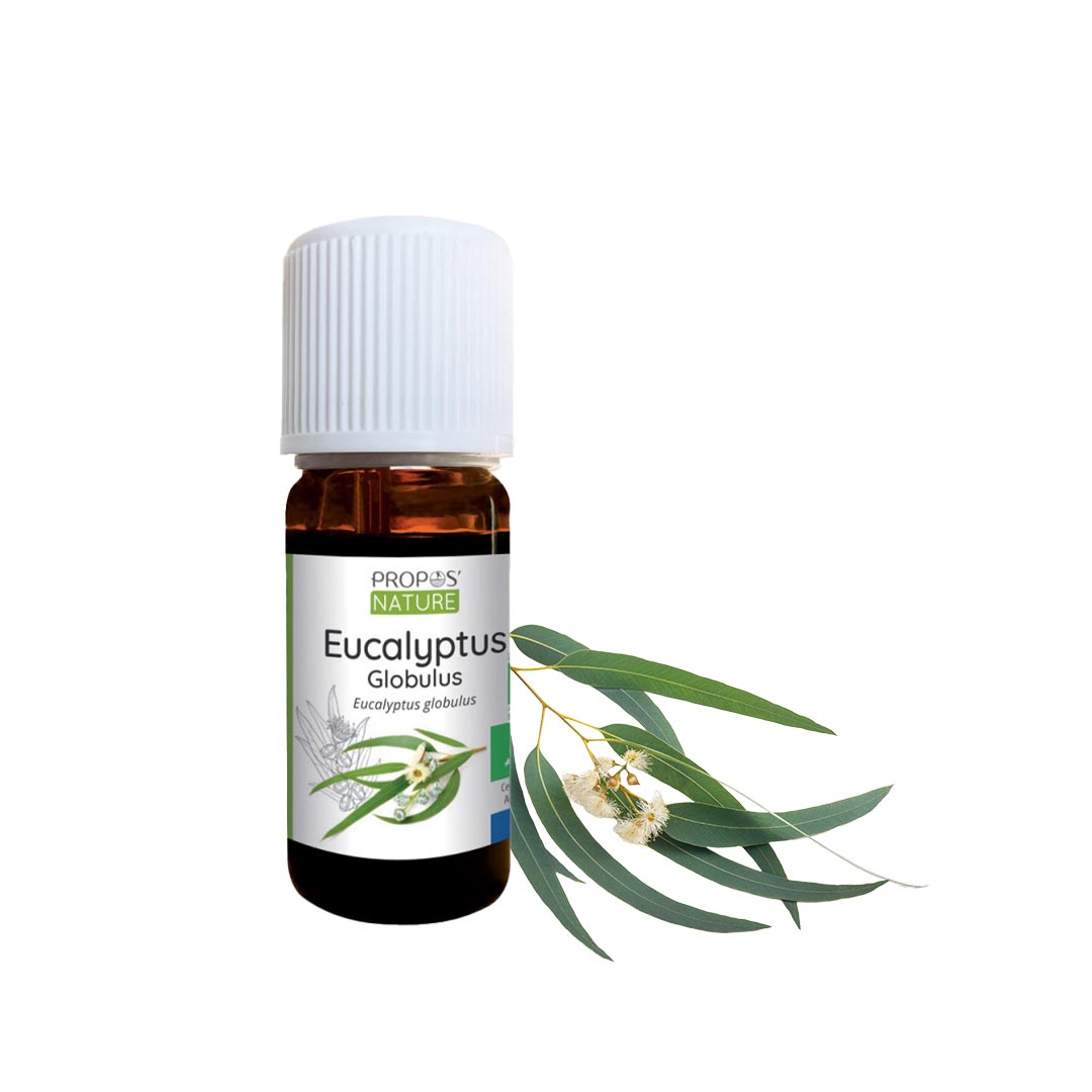 Laboratoire Propos'Nature Eucalyptus Globulus Organic Essential Oil, 10ml - Elliotti