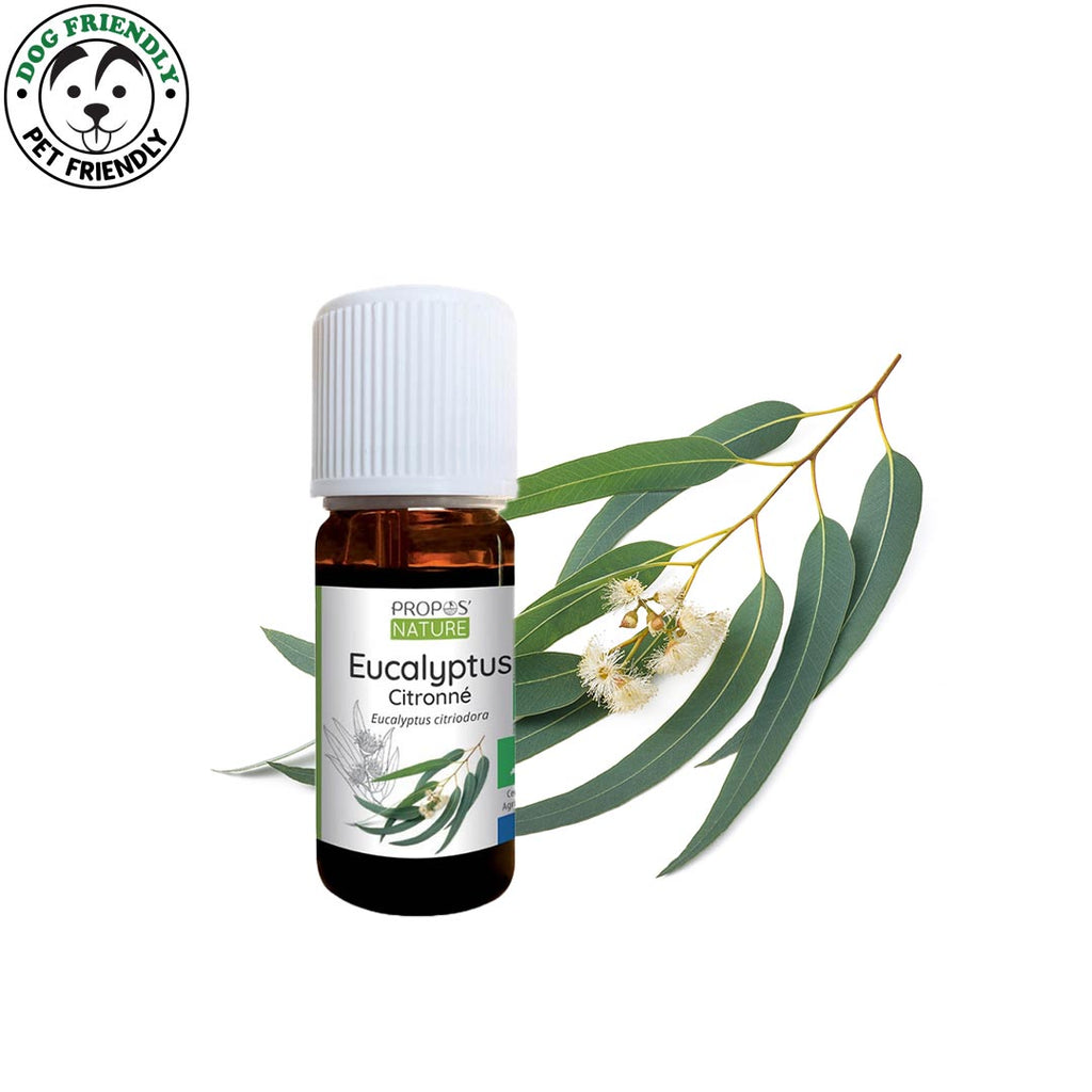 Eucalyptus lemon essential oil bottle from french Propos Nature in front of a eucalyptus lemon branch on white. In left corner a badge with Dog friendly