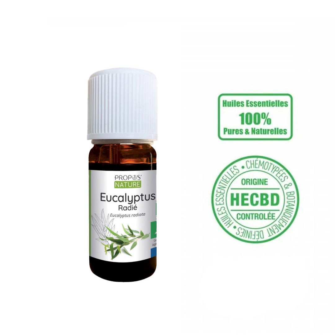 Eucalyptus Radiata Organic Essential Oil, 10ml - Elliotti