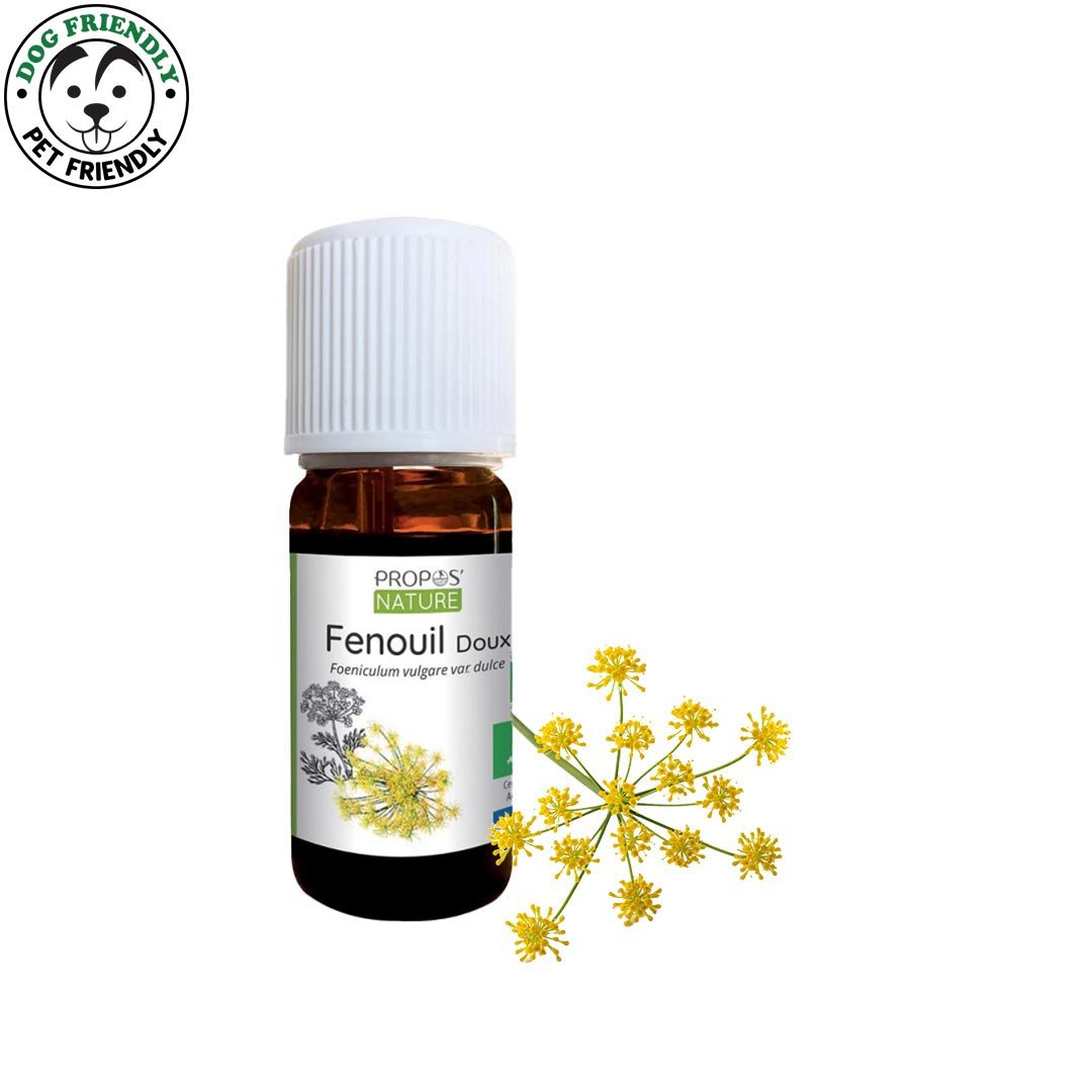 Propos'Nature Fennel Sweet Organic Essential Oil, 10ml - Elliotti