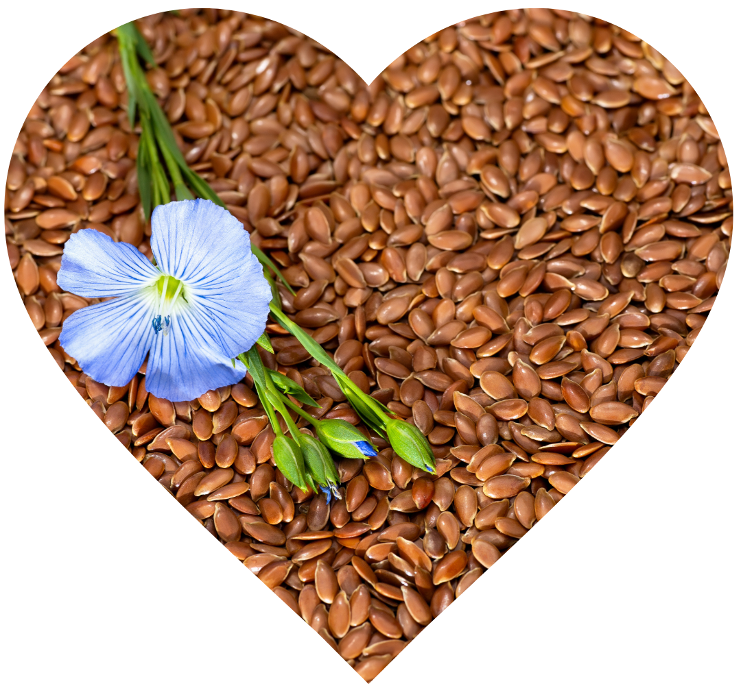 Flaxseeds are rich in lignans, which are phytoestrogens that can help balance hormone levels. They’re also a great source of omega-3 fatty acids, supporting heart health and reducing inflammation.- Elliotti