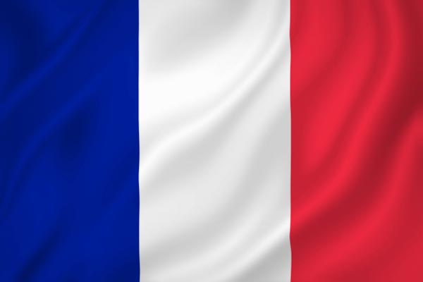 The french flag