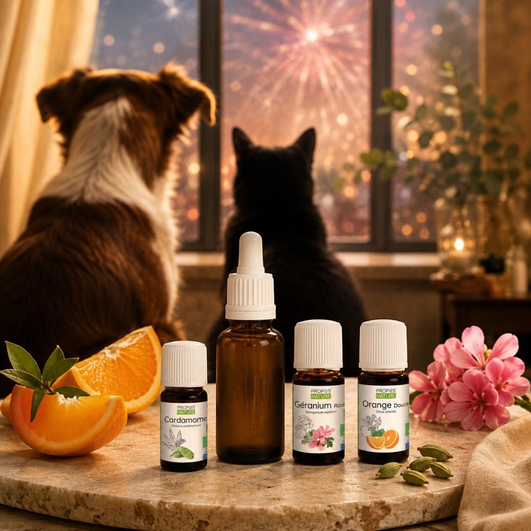 Elliotti Furry Friends Festive Blend - Elliotti
