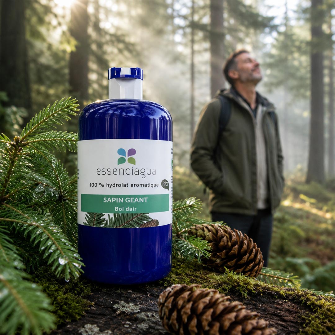 Essenciagua Giant Fir Organic Hydrosol, 250ml - Elliotti