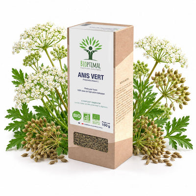 Bioptimal Green Anise Organic Infusion - Elliotti