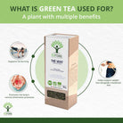 Bioptimal Thé Vert green tea packaging with benefits on a white background
