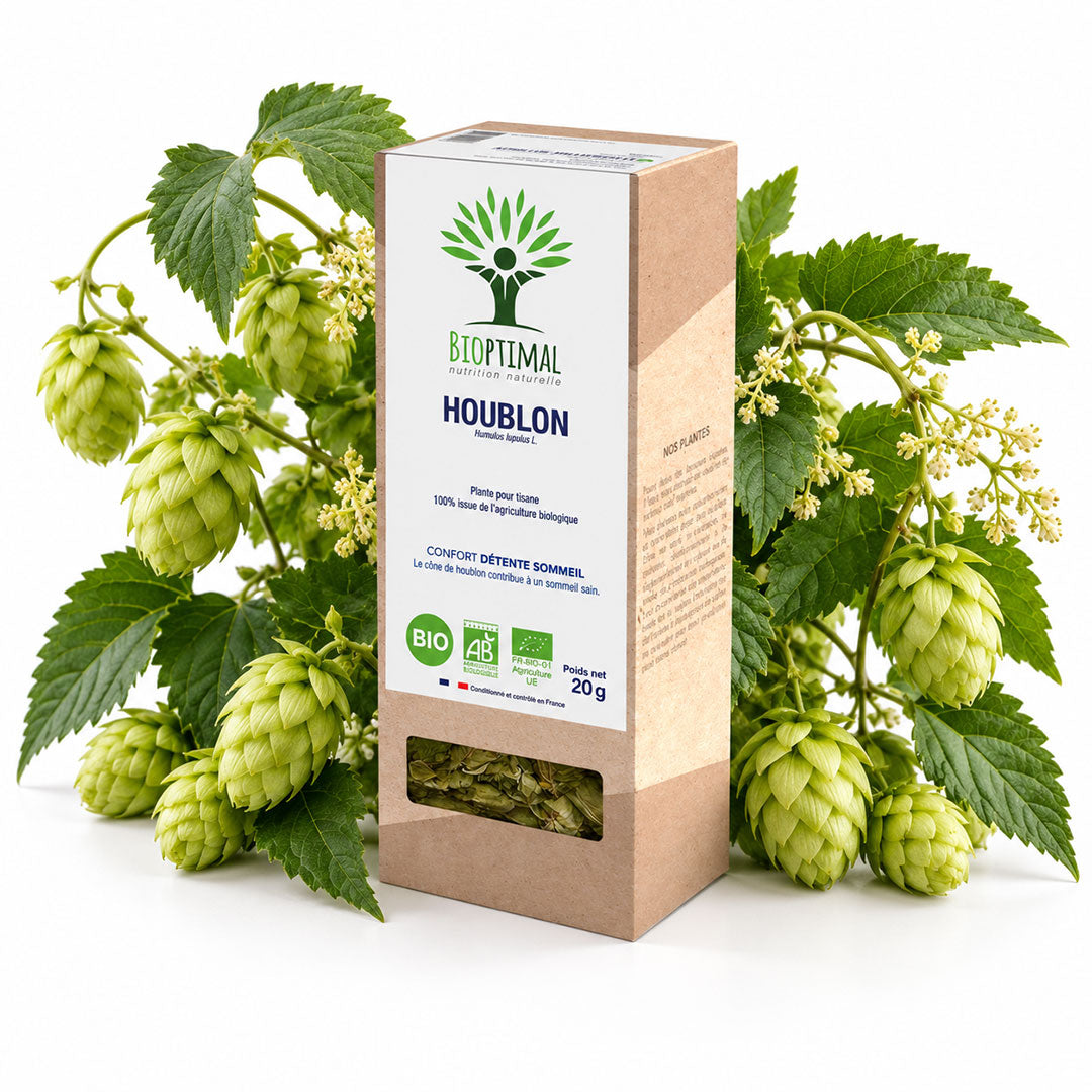 A box of Bioptimal Houblon (hops) tea, styled with fresh green hops plants and cones on a white background.