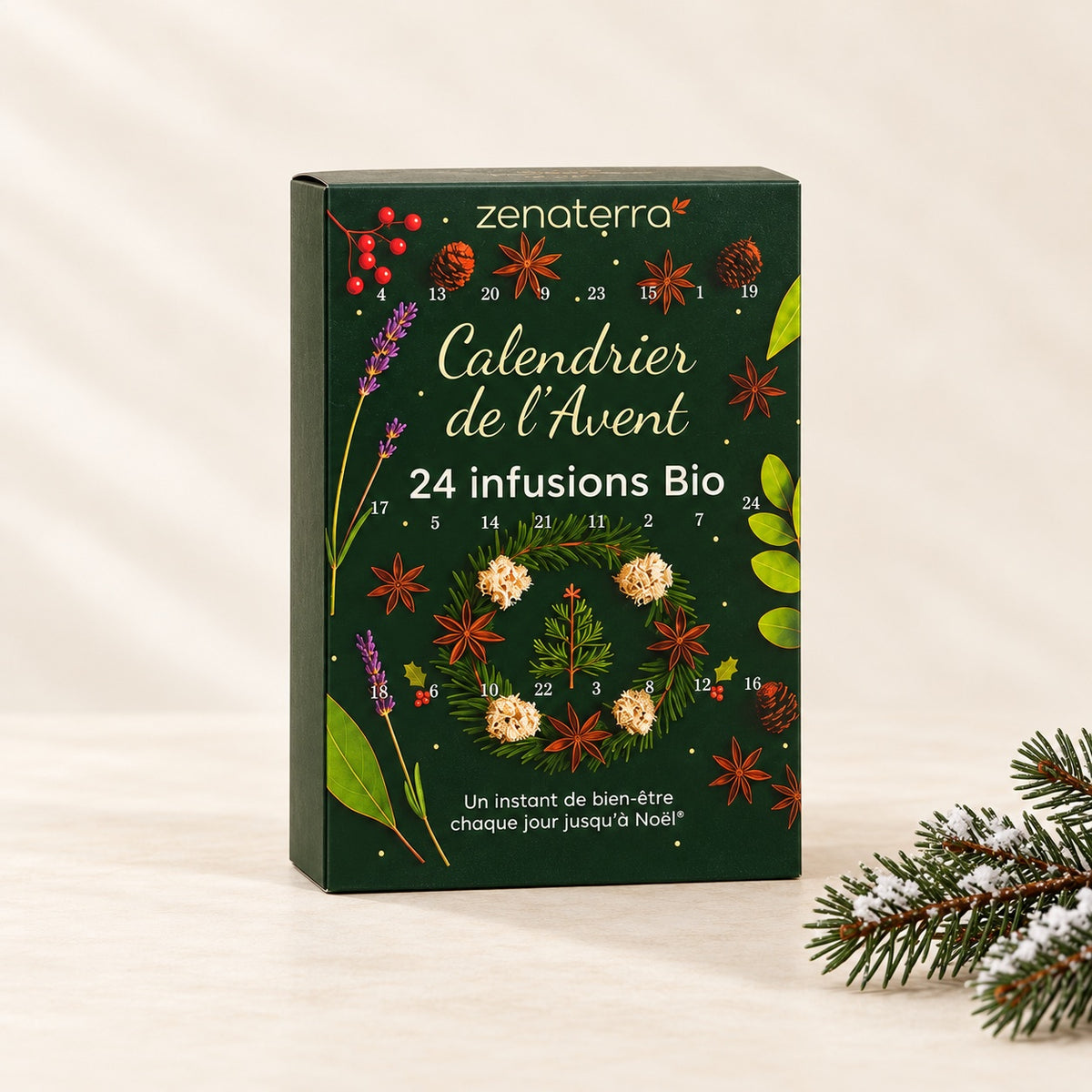 Tea & Infusions Advent Calendar