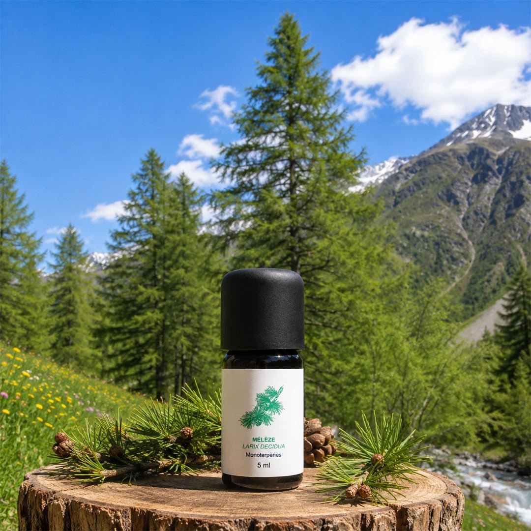 Essenciagua Larch Organic Essential Oil, 5 ml - Elliotti