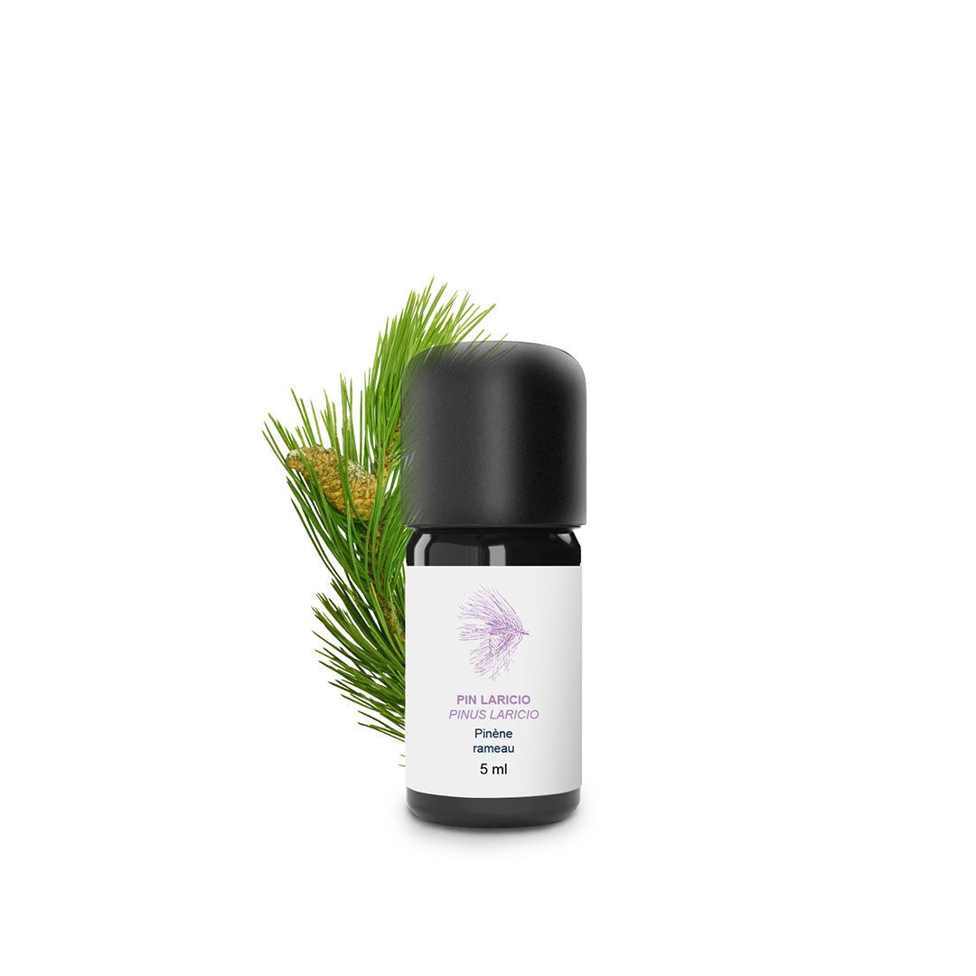 Essenciagua Larichio Pine Organic Essential Oil, 5ml - Elliotti