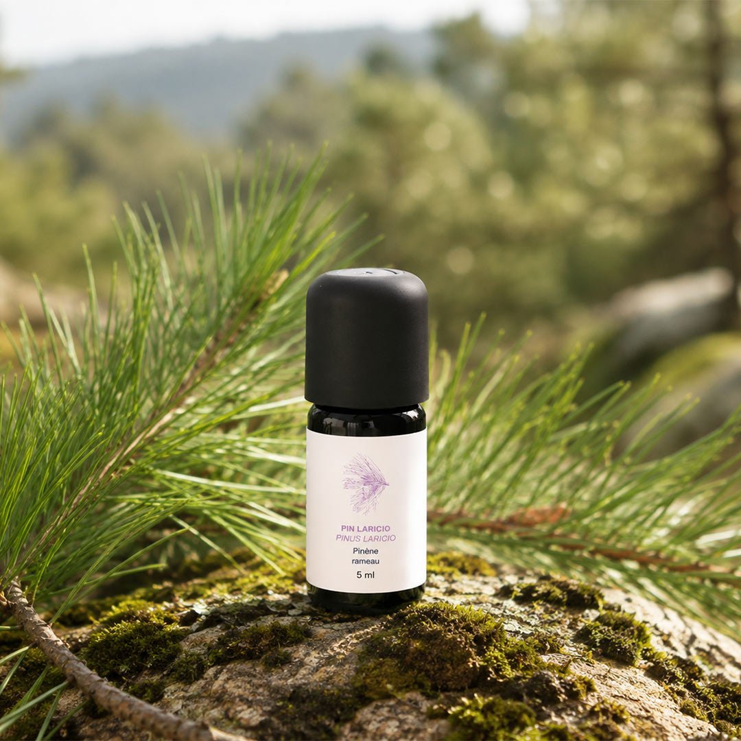 Essenciagua Larichio Pine Organic Essential Oil, 5ml - Elliotti