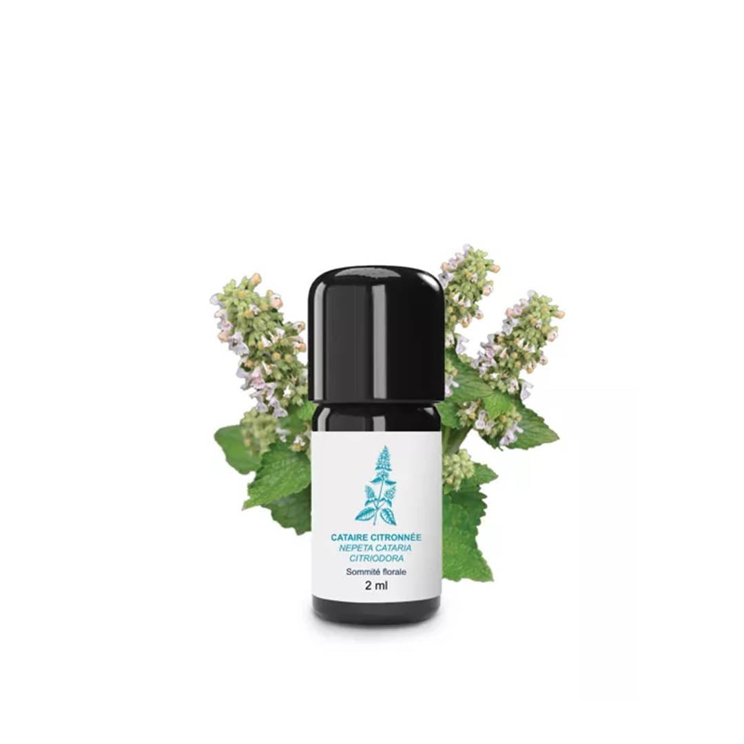 Essenciagua Lemon Catnip Organic Essential Oil, 2 ml - Elliotti