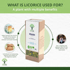 Box of Réglisse with text about licorice benefits on a green and white - Elliottibackground