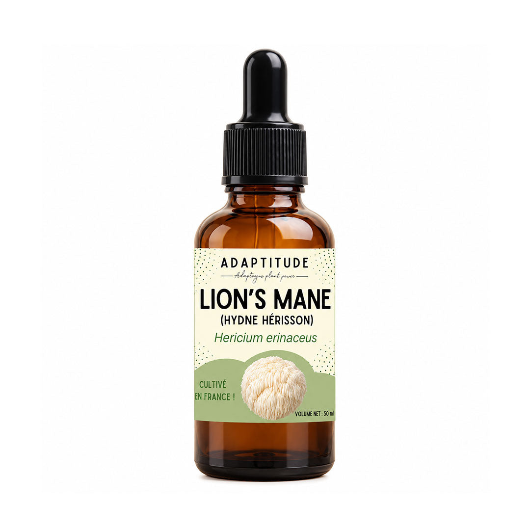 An amber glass dropper bottle of Adaptitude Lion's Mane (Hericum erinaceus) tincture, featuring a black dropper cap and a cream and light green label with a mushroom illustration, set against a plain white background.