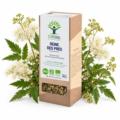 Bioptimal Meadowsweet Flower Organic Infusion - Elliotti