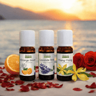 Elliotti Midnight Romance – A Sensual & Relaxing Blend - Elliotti