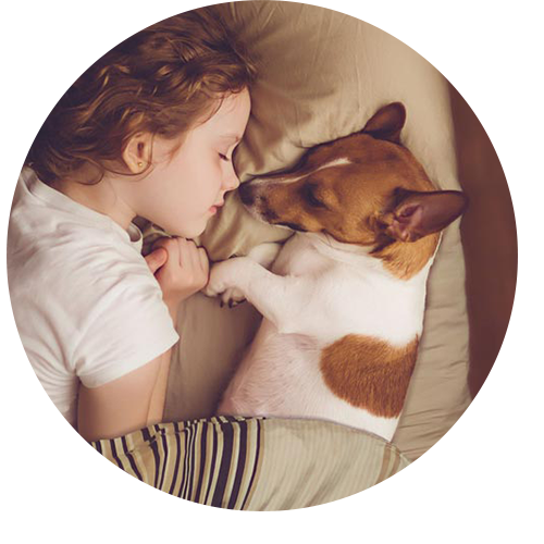 Aroma Diffusers - Environmentally friendly, safe for children and animals