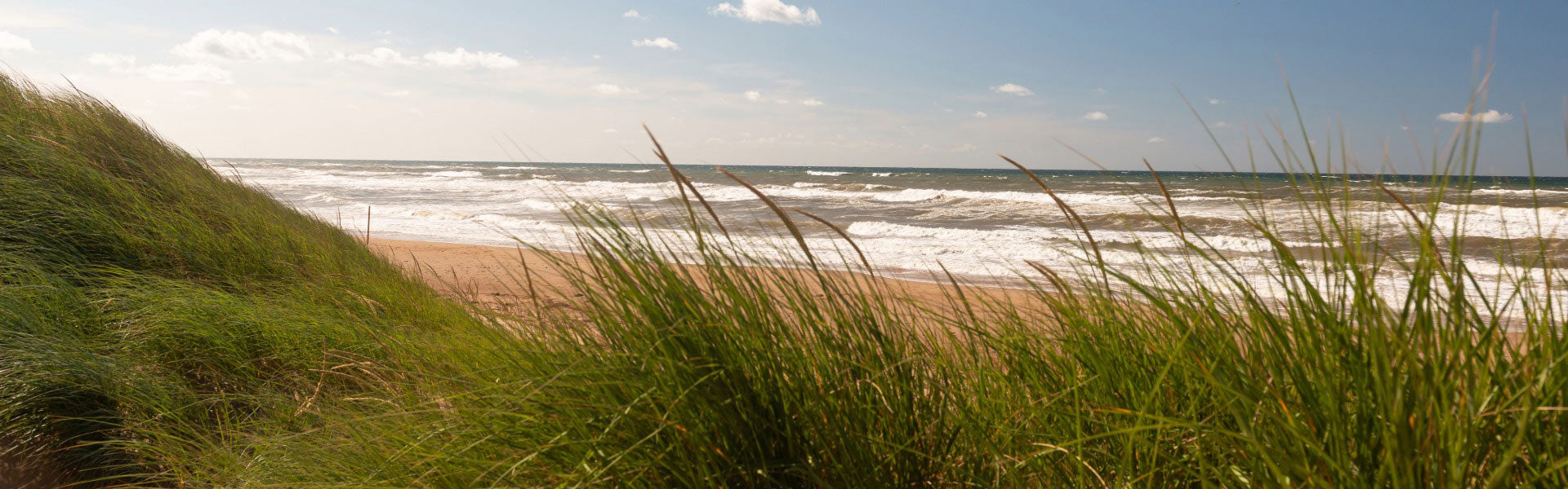 Scenic view of a beach with grass in the foreground and ocean in the background. Breton France