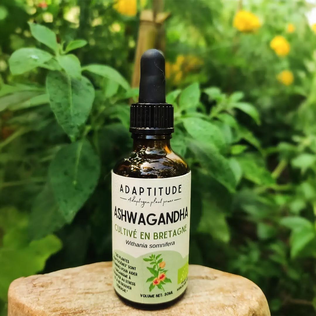 Adaptitude Organic Ashwagandha Extract, 50 ml - Elliotti