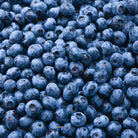 Bioptimal Organic Blueberry, 200 capsules - Elliotti