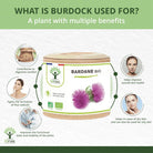 Bioptimal Organic Burdock, 200 capsules - Elliotti