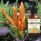 Adaptitude Organic Cordyceps Extract, 50 ml - Elliotti