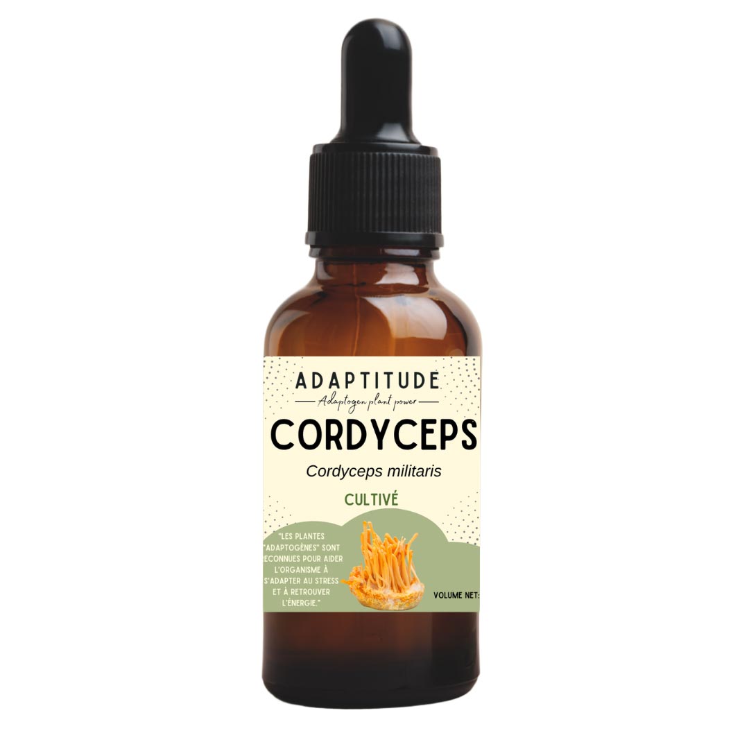 Adaptitude Organic Cordyceps Extract, 50 ml - Elliotti