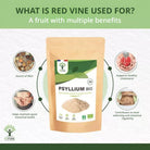 Bioptimal Organic Psyllium Powder, 500g - Elliotti