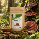 Bioptimal Organic Reishi Powder, 100g - Elliotti