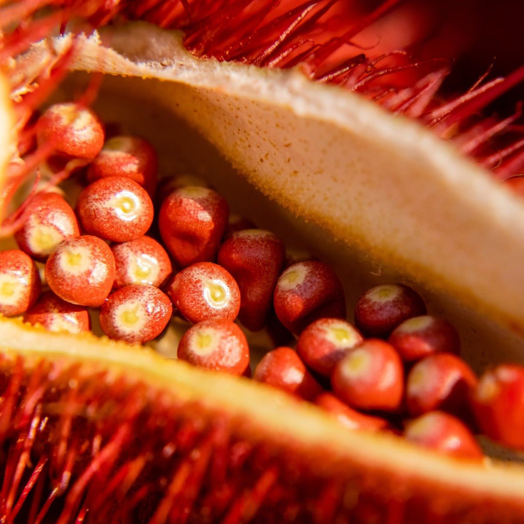 Bioptimal Organic Tanning Capsules, 200 capsules - Elliotti