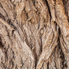 Bioptimal Organic Willow Bark, 200 capsules - Elliotti