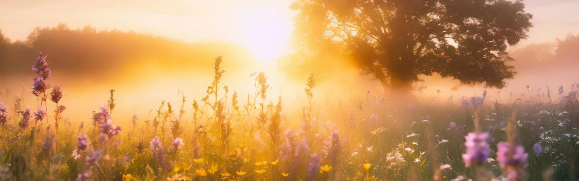 Discover the Power of Nature in Every Drop - Elliotti