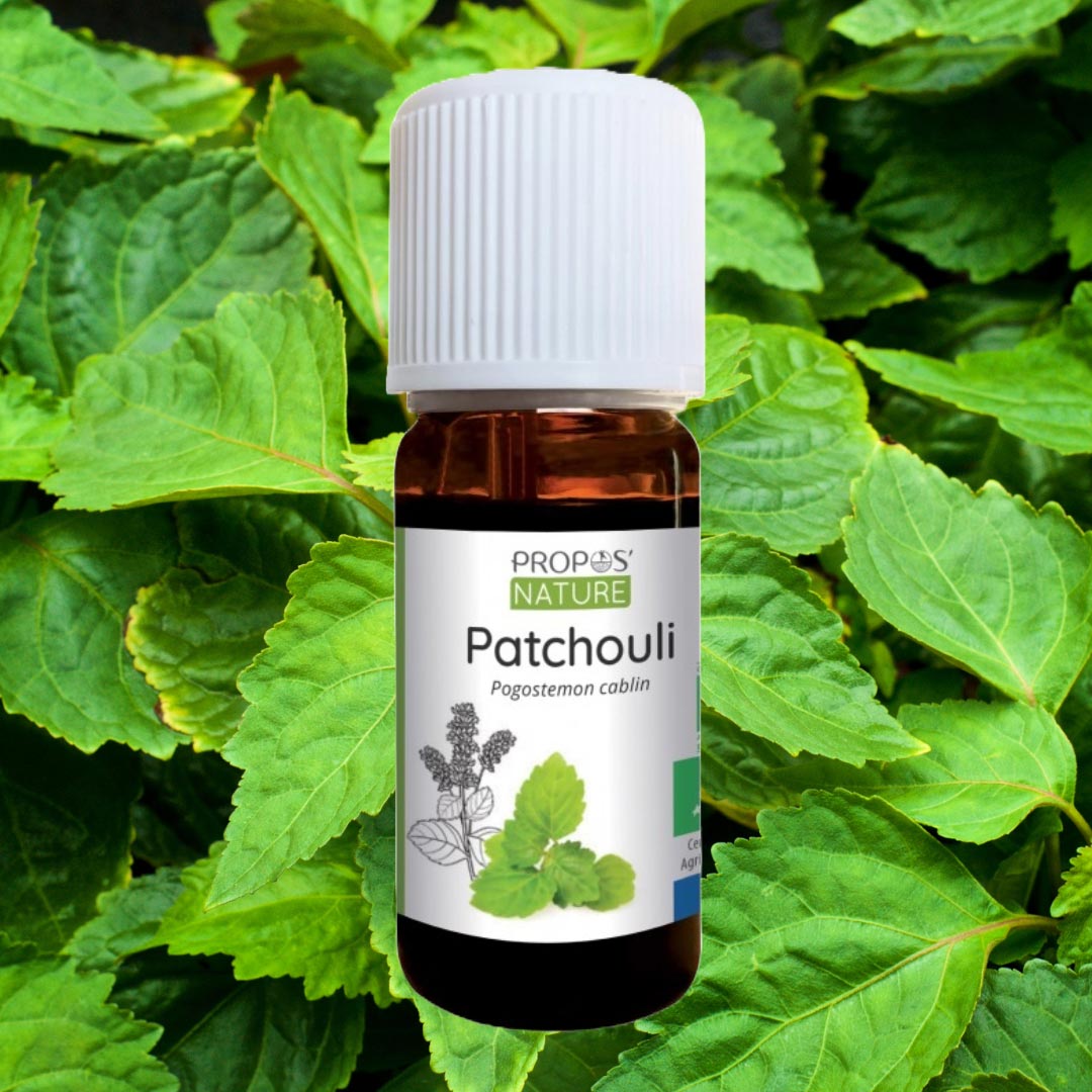 Patchouli