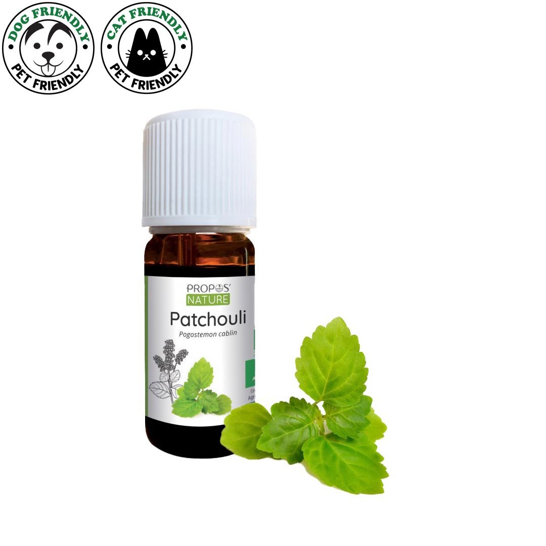 Propos'Nature Patchouli Organic Essential Oil, 10ml - Elliotti