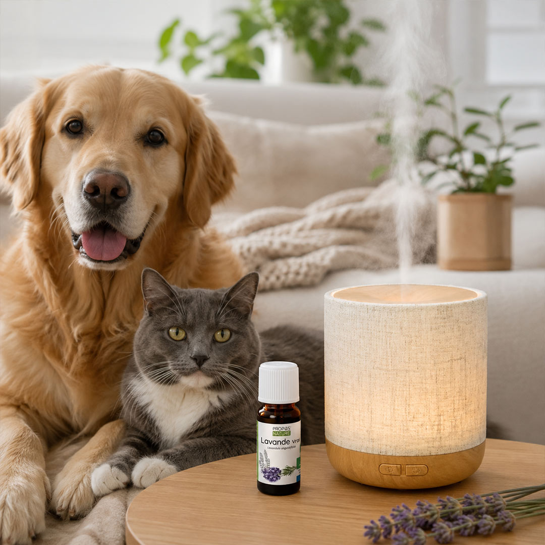 An aromaet diffuser with a bottle of lavender oil on a wooden table in a cozy living room, with a golden retriever and a gray cat resting beside it. The diffuser has a beige textured linnen fabric shade and a light wood base, emitting a gentle mist.