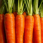 Propos'Nature POE No. 4 Carrot, 100ml - Elliotti