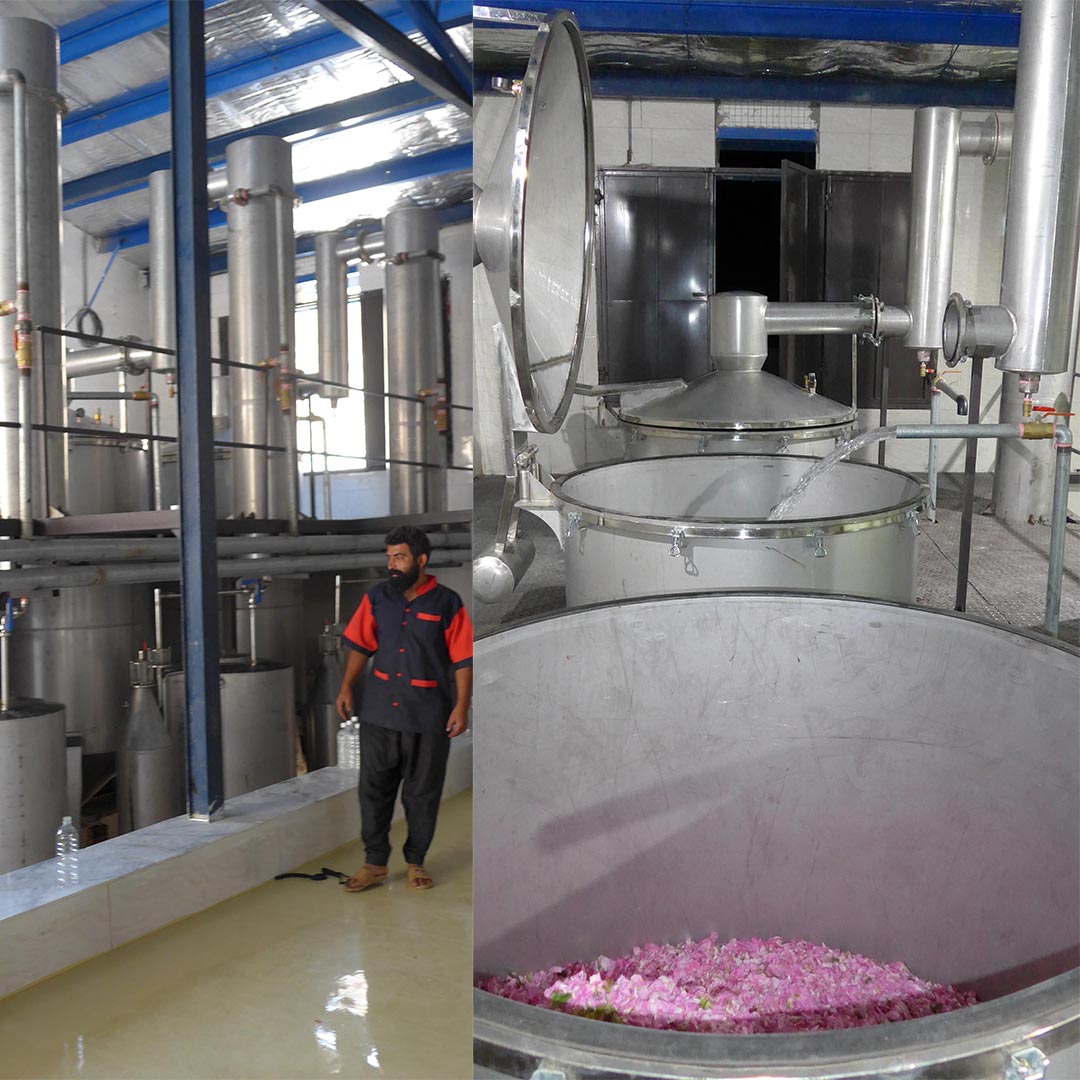 Essenciagua Rose Damask Organic Hydrosol, 250ml - Elliotti