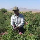 Essenciagua Rose Damask Organic Hydrosol, 250ml - Elliotti