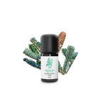 A 5 ml bottle of Saphin Pectine essential oil with a black cap and white label, set against a white background with decorative pine branches and a pinecone.