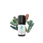 Essenciagua Silver Fir Organic Essential Oil, 5ml - Elliotti