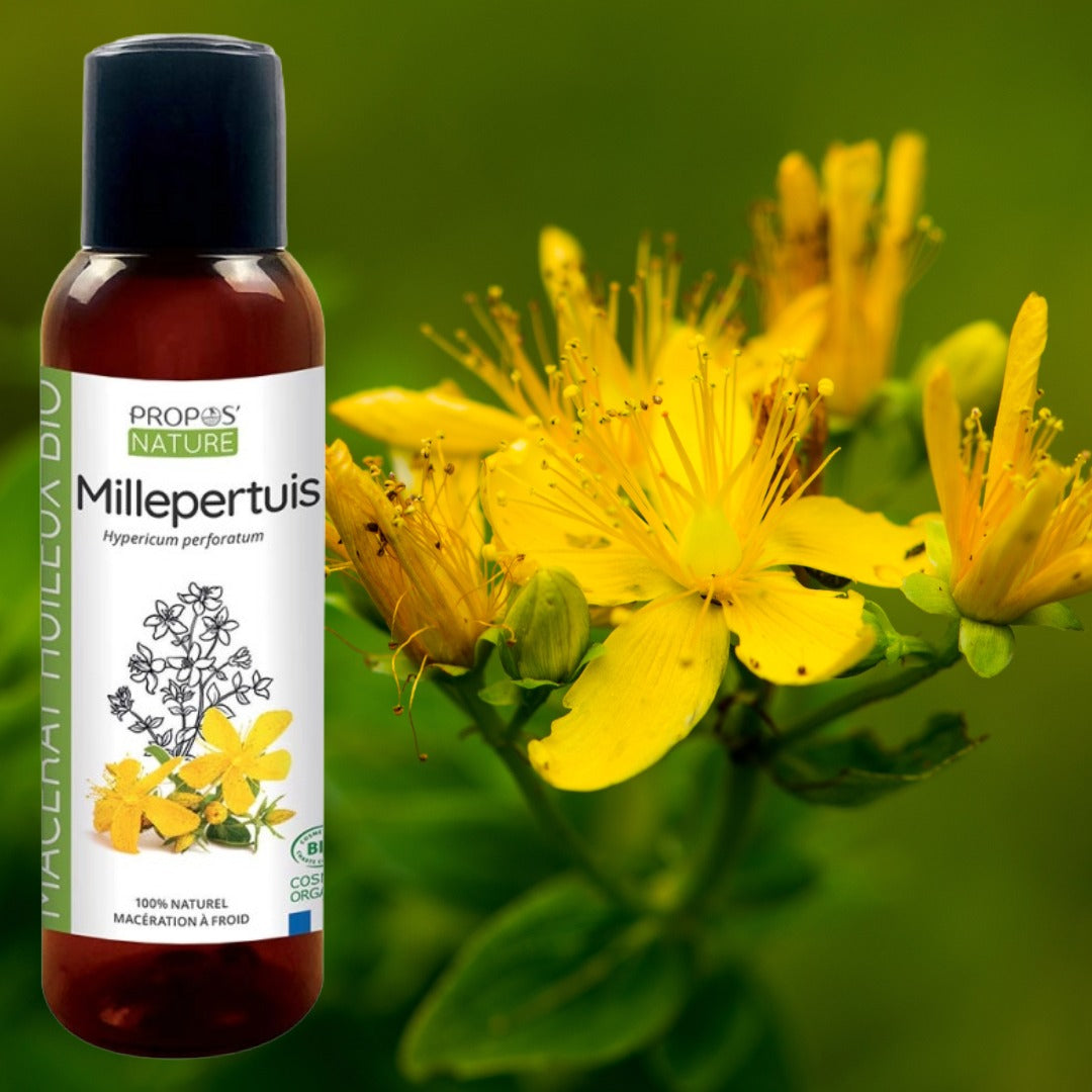 Bottle of Propos Nature St. Johns Wort with yellow flowers in the background
