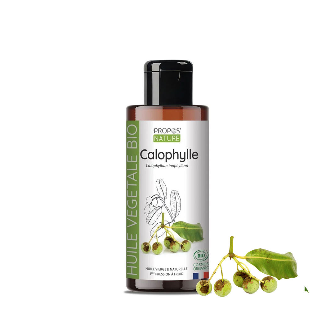 A bottle of Propos Nature Calophylle  (Tamanu) vegetable oil with a black cap and white label, shown on a white background with a small branch of green calophylle berries and leaves placed beside it.