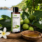 A bottle of Propos Nature Calophylle (Tamanu) vegetable oil stands on a wooden surface outdoors, surrounded by green leaves, green calophylle fruits, a white plumeria flower, and a small wooden bowl of golden oil, with a blurred coastal background.
