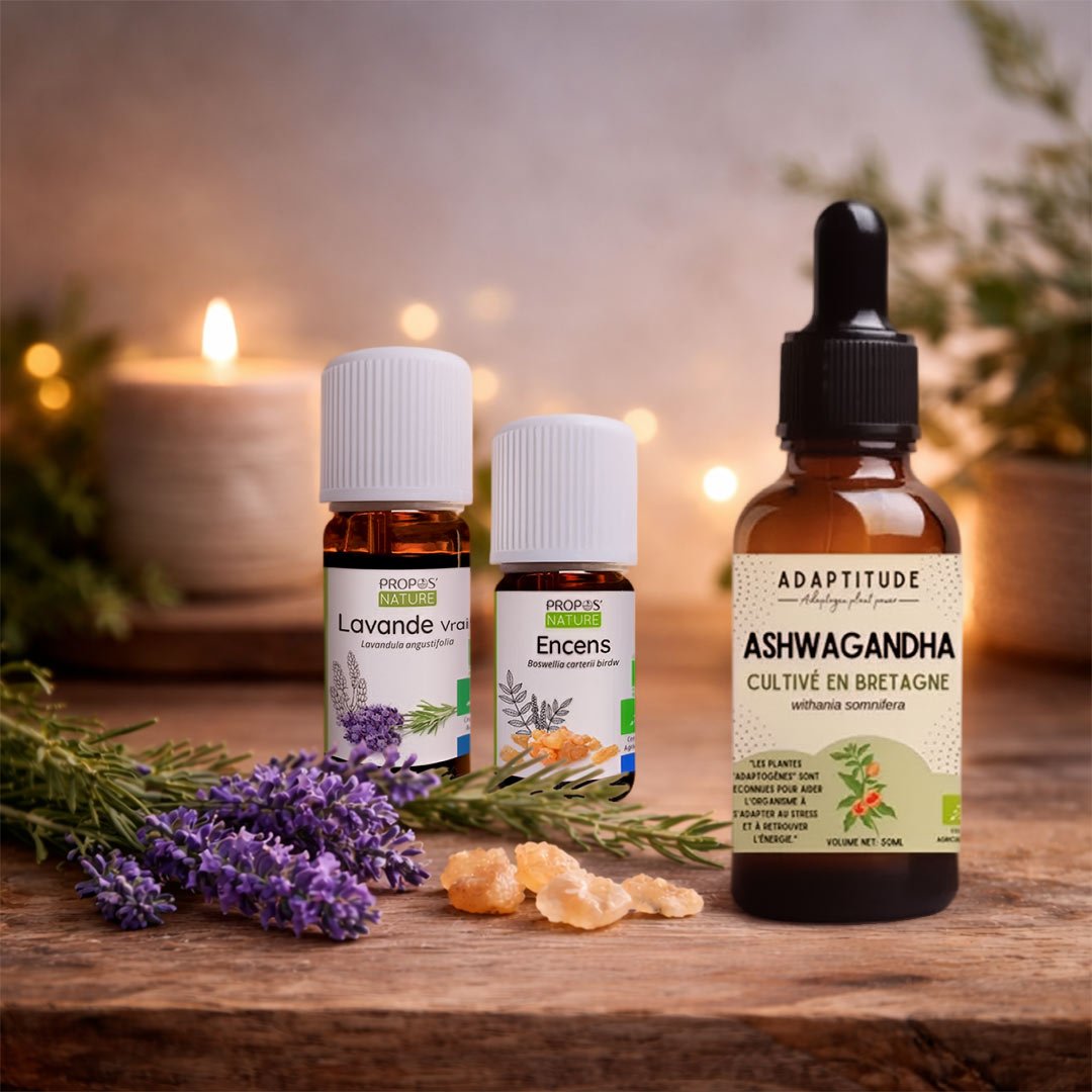 Elliotti The Evening Reset - For stress, tension & better sleep - Elliotti