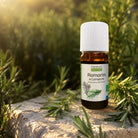 Elliotti The Ultimate Morning Diffuse Blend - Elliotti