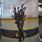 Essenciagua Thyme Thymol Organic Hydrosol, 250ml - Elliotti