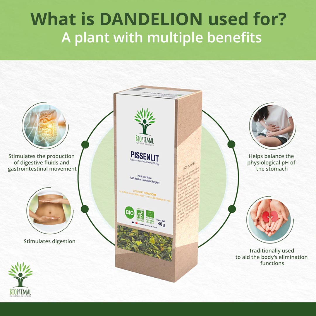 Dandelion infusion product packaging with health benefits on a green and white background