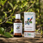 A bottle and box of Herbiolys Laboratoires white alder (alnus incana) placed on a wooden surface with a natural background of green leaves and branches.