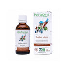 Herbiolys White Alder Organic Bud Extract, 50 ml - Elliotti